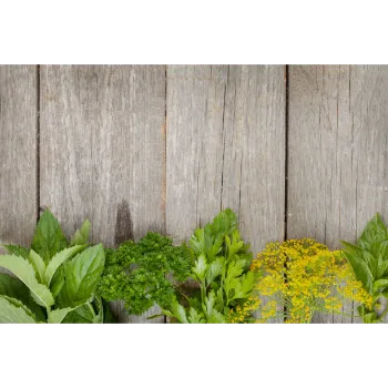 Natural Dry Mint Leaves